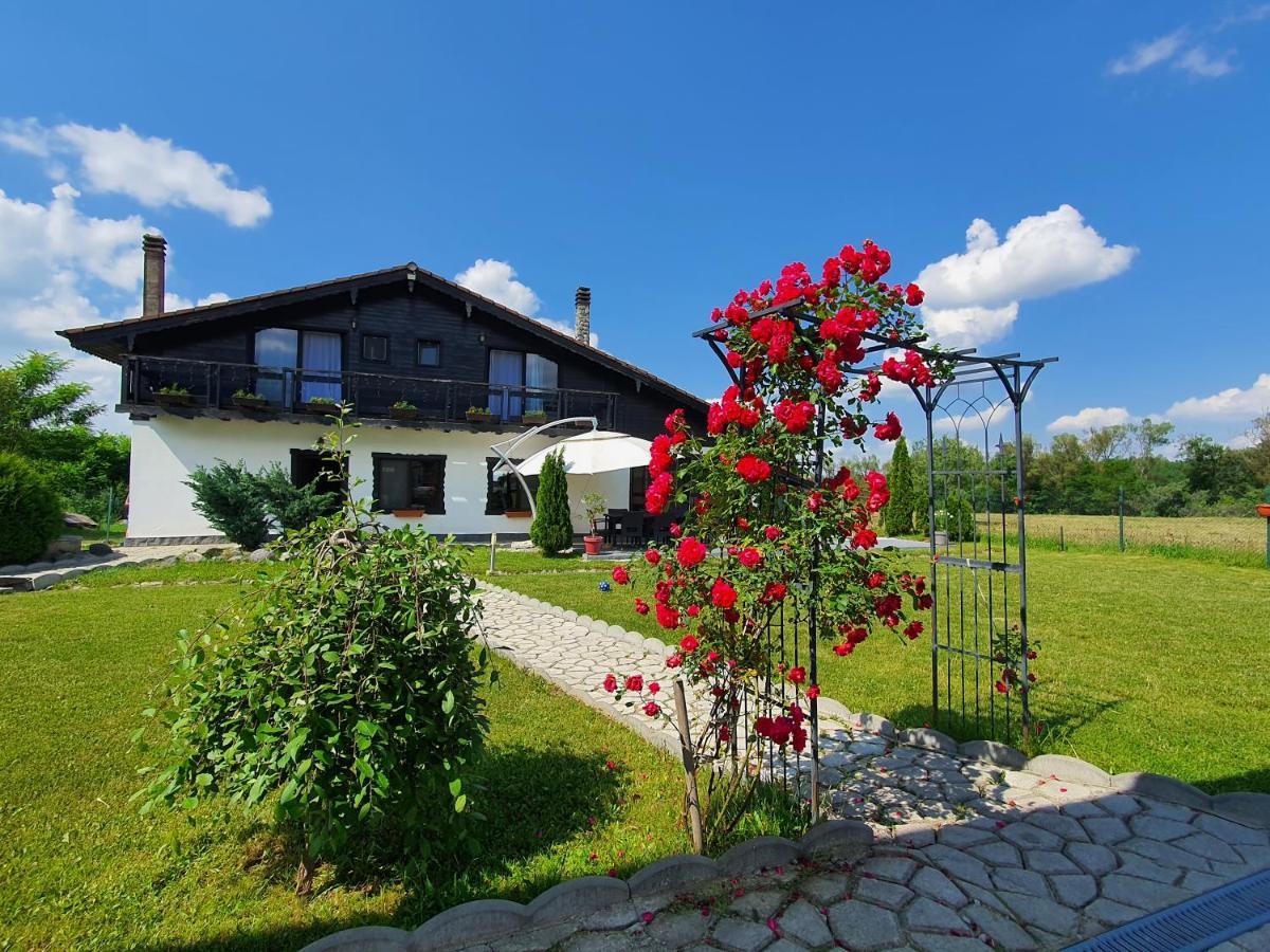 Cabana Supporter -Supporter Chalet Porumbacu de Sus Dış mekan fotoğraf
